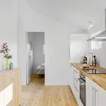 Amazing In With Wifi *
